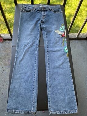 Metro Blue Flare Jeans with Floral & Bird Embroidery